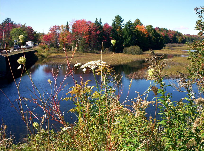NICK MUEHLBERGER, marsh3